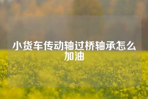 小货车传动轴过桥轴承怎么加油