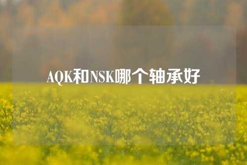 AQK和NSK哪个轴承好