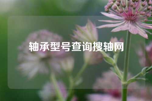 轴承型号查询搜轴网