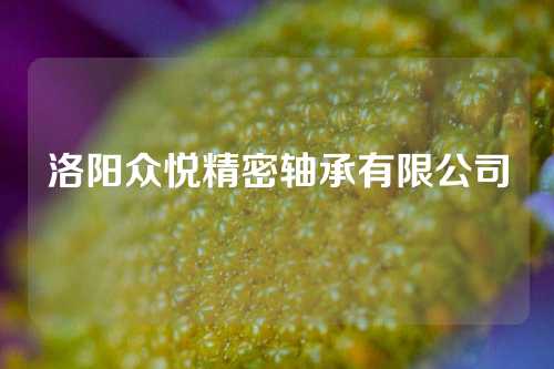 洛阳众悦精密轴承有限公司