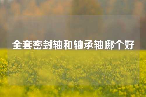 全套密封轴和轴承轴哪个好