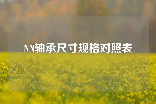 NN轴承尺寸规格对照表