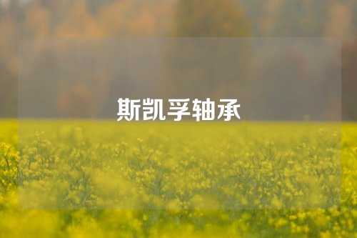 斯凯孚轴承