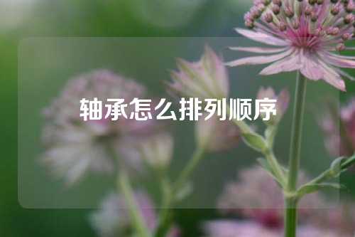 轴承怎么排列顺序