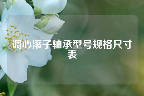 调心滚子轴承型号规格尺寸表