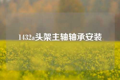 1432a头架主轴轴承安装