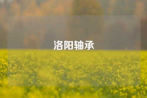 洛阳轴承