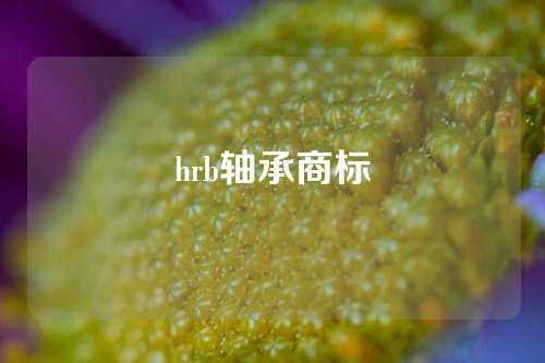 hrb轴承商标