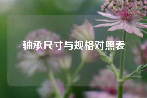 轴承尺寸与规格对照表