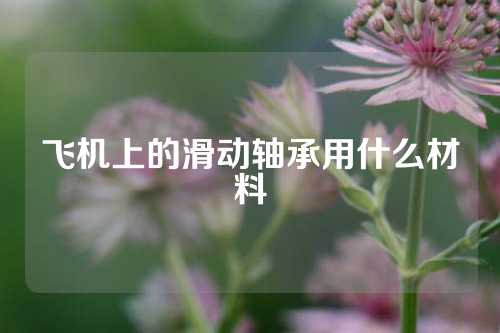 飞机上的滑动轴承用什么材料