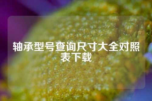 轴承型号查询尺寸大全对照表下载