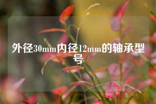 外径30mm内径12mm的轴承型号