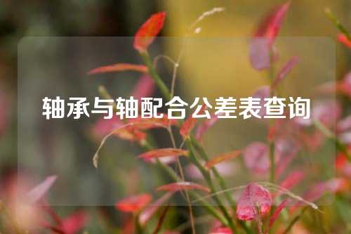 轴承与轴配合公差表查询