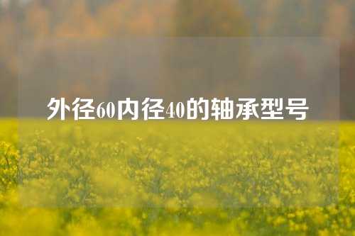 外径60内径40的轴承型号