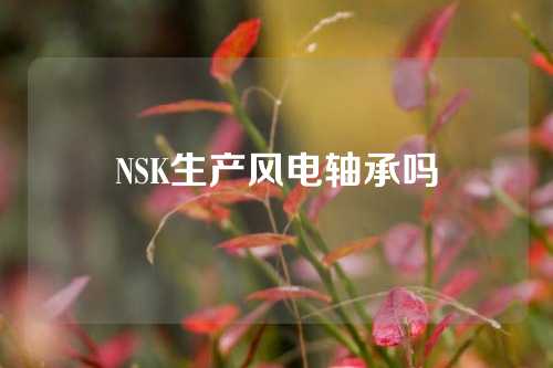 NSK生产风电轴承吗