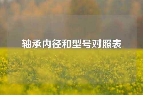 轴承内径和型号对照表