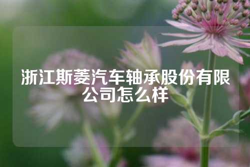 浙江斯菱汽车轴承股份有限公司怎么样