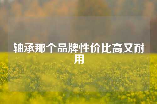 轴承那个品牌性价比高又耐用