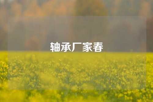 轴承厂家春