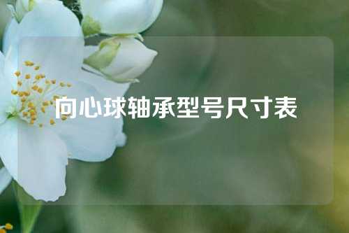 向心球轴承型号尺寸表