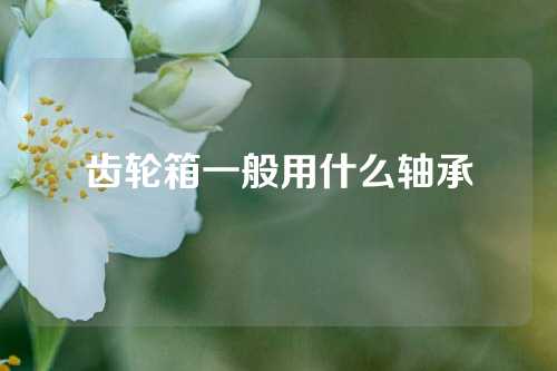 齿轮箱一般用什么轴承