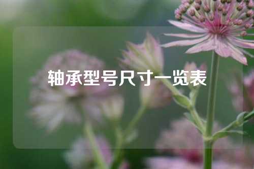 轴承型号尺寸一览表