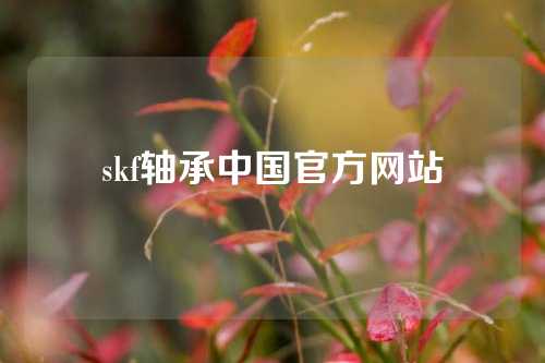 skf轴承中国官方网站