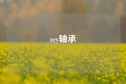 zcy轴承