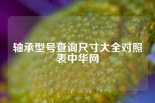 轴承型号查询尺寸大全对照表中华网