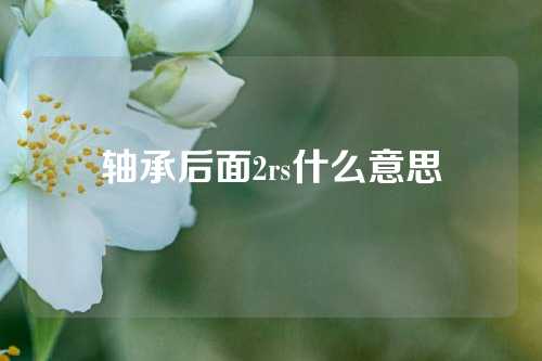 轴承后面2rs什么意思