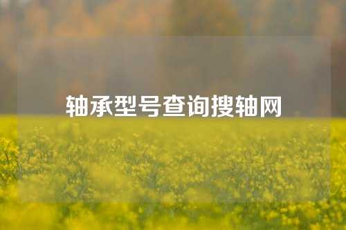 轴承型号查询搜轴网