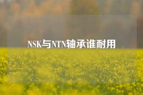 NSK与NTN轴承谁耐用