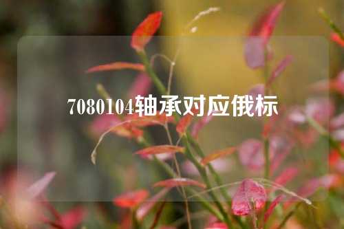 7080104轴承对应俄标