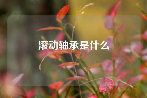 滚动轴承是什么