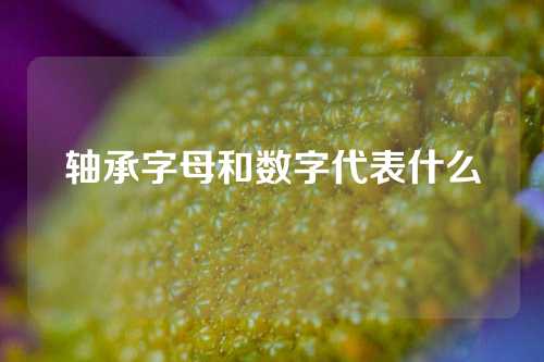 轴承字母和数字代表什么