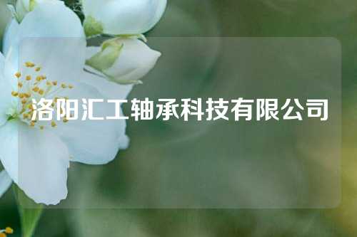 洛阳汇工轴承科技有限公司