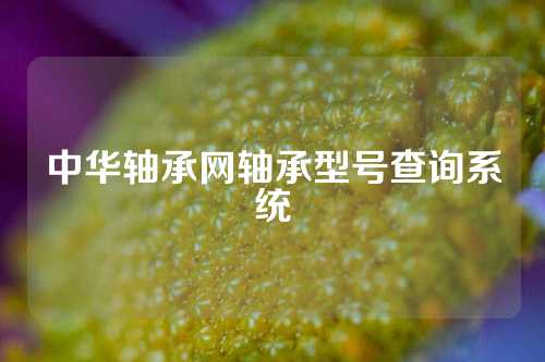 中华轴承网轴承型号查询系统