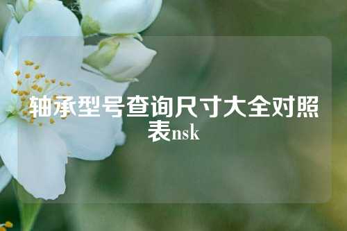 轴承型号查询尺寸大全对照表nsk