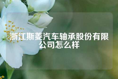 浙江斯菱汽车轴承股份有限公司怎么样