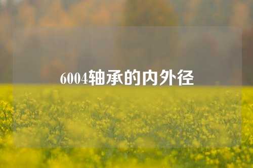 6004轴承的内外径