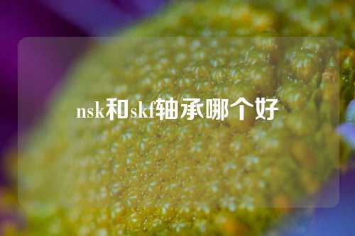 nsk和skf轴承哪个好