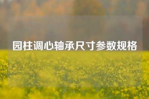 园柱调心轴承尺寸参数规格