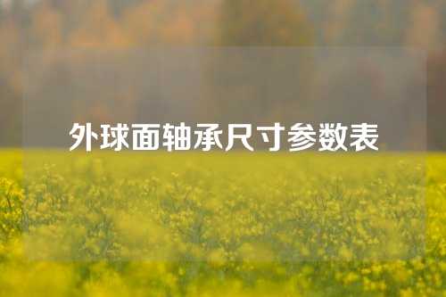 外球面轴承尺寸参数表