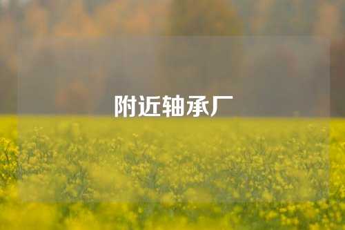 附近轴承厂