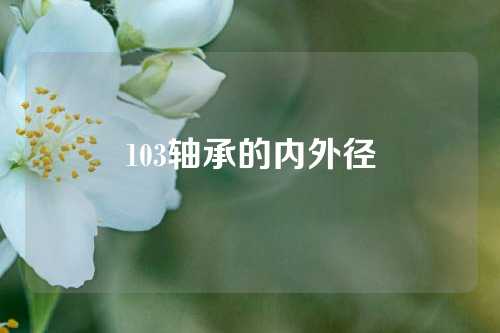 103轴承的内外径