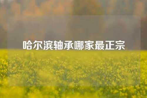 哈尔滨轴承哪家最正宗