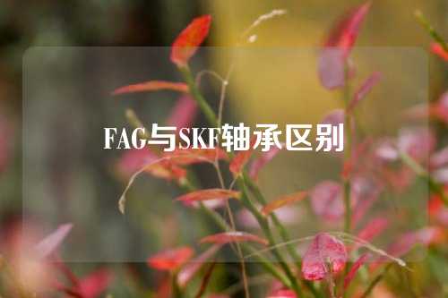 FAG与SKF轴承区别