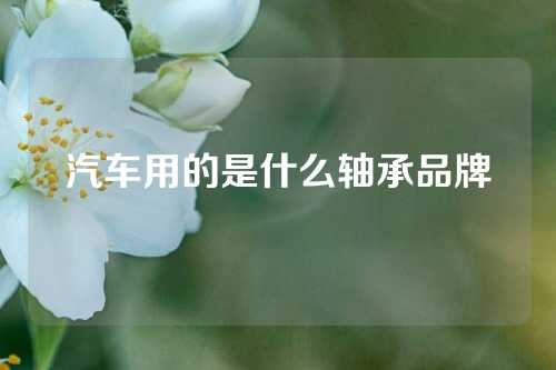 汽车用的是什么轴承品牌