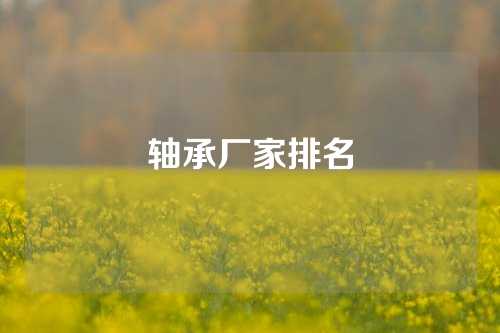 轴承厂家排名