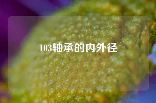 103轴承的内外径